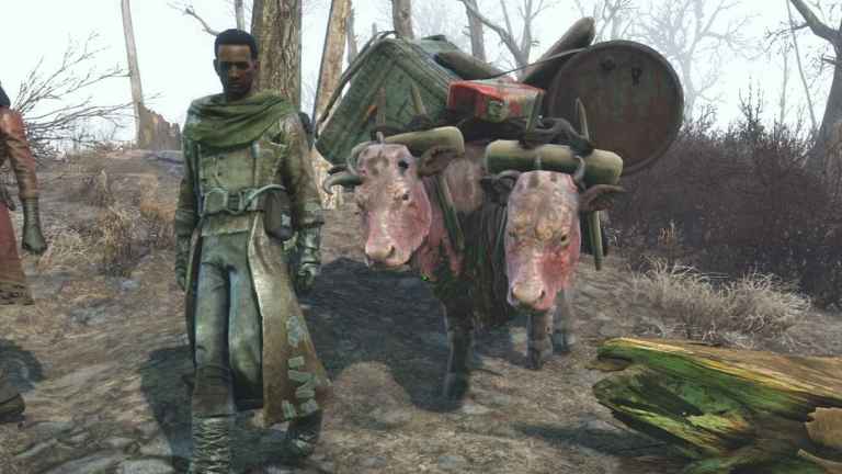 A man in rough clothes leads a two-headed mutant cow along a dead forest in Fallout 4.