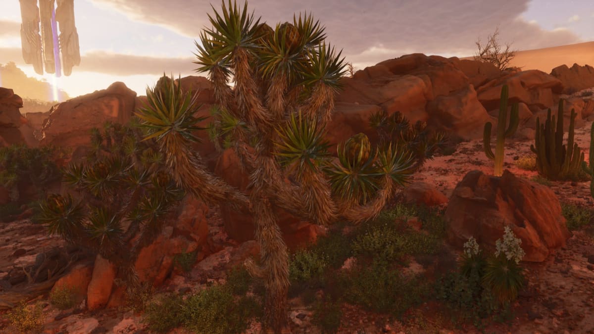 Joshua Trees on Scorched Earth in Ark: Survival Ascended.