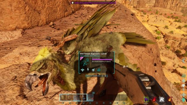 An unconcious Argentavis in Ark: Survival Ascended Scorched Earth.