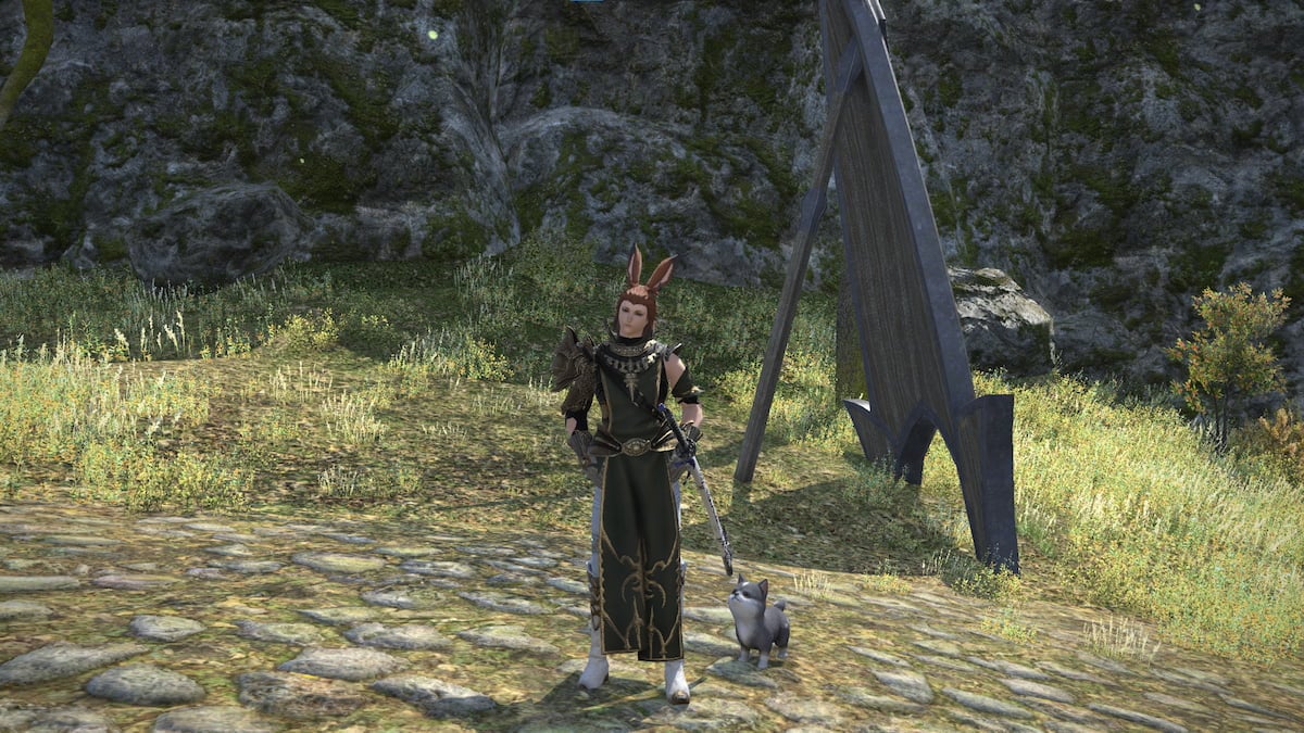 Torgal Pup minion in Final Fantasy XIV