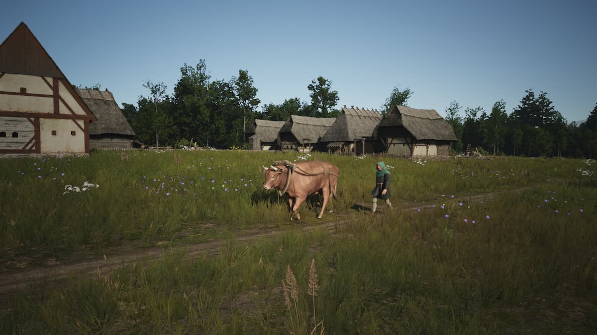 Oxen at work in Manor Lords