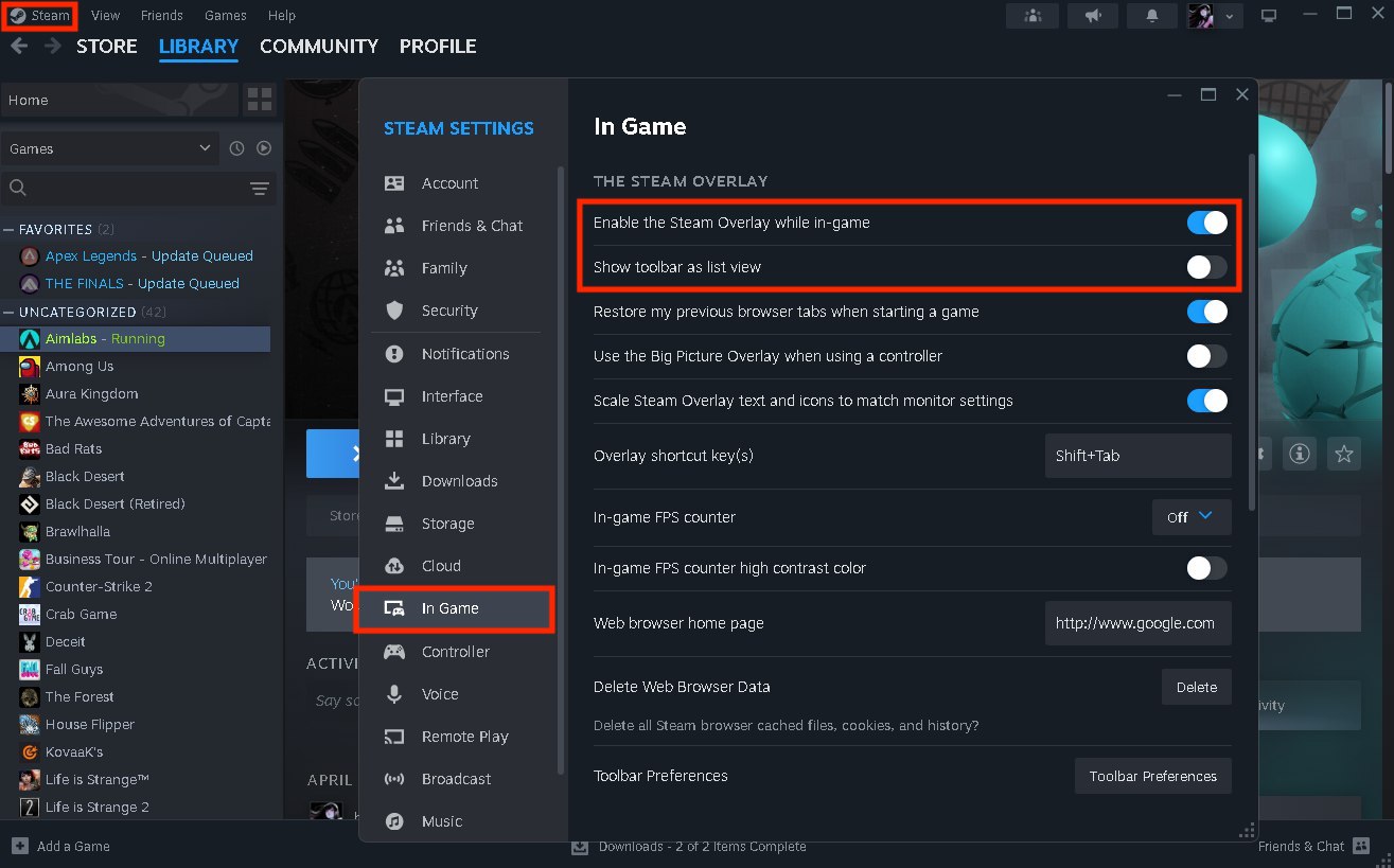 Steam Overlay settings.