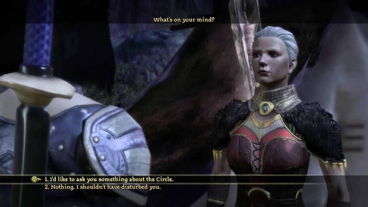 An image of Wynne from Dragon Age: Origins