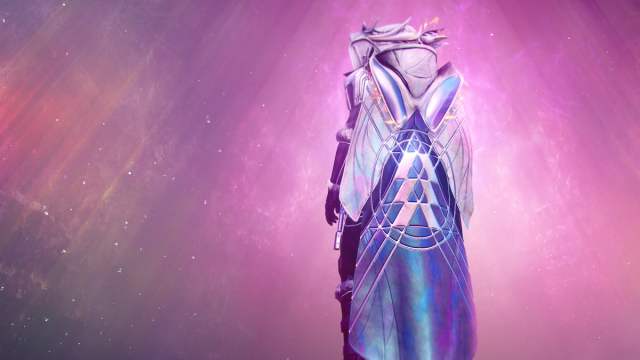Hunters' Exotic class item proudly displays their class symbol on the back.