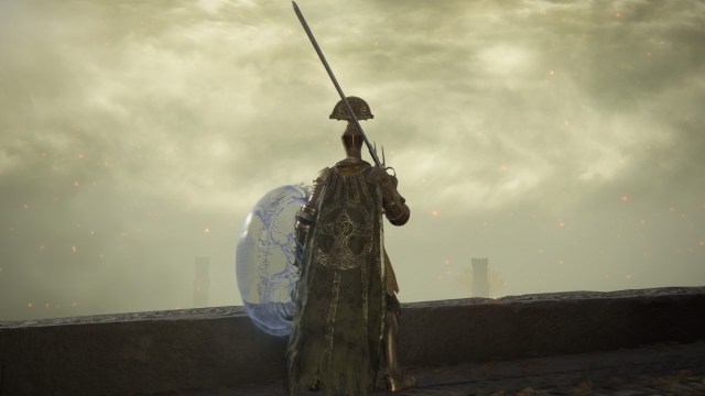 A man wielding a Zweihander and Jellyfish Shield looks over a cliff into the distance.
