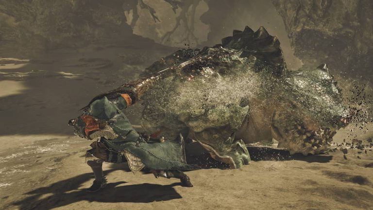 Hunter fighting a Chatacabra.