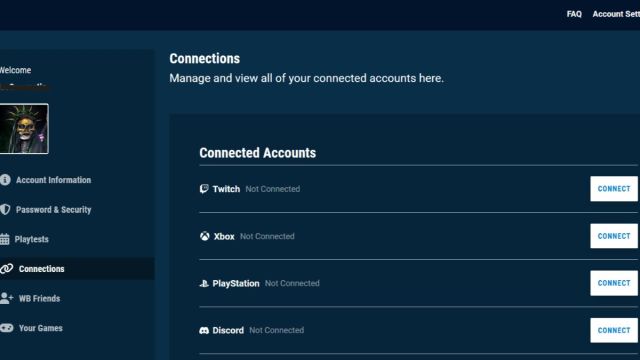 A screenshot of the Connections tab of the settings menu on Warner Bros Games.