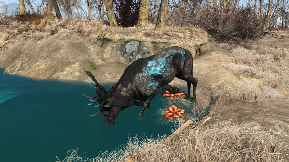 The Quantum Stag drinking in Fallout 4.