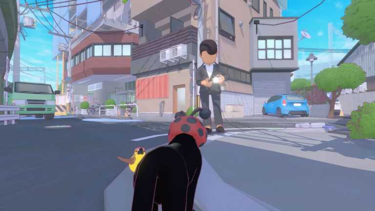 A man takes a picture of the cat in the game.