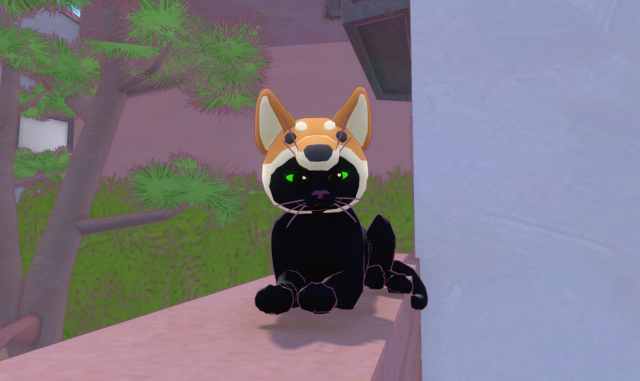 The main black chat in Little Kitty Big City wearing the Shiba Hat, a brown Shiba Inu-like costume.