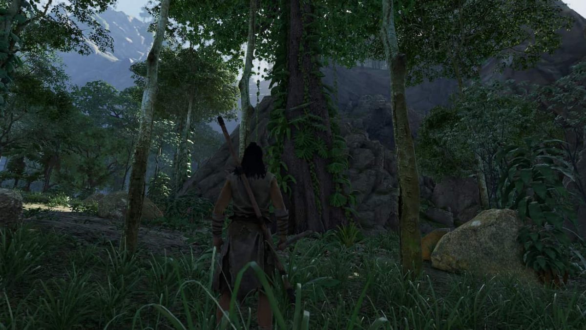 Soulmask player eyeing trees with an axe in hand.