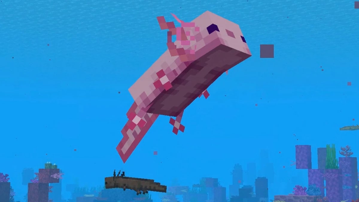 Axolotls can be bred using Tropical Fish in Minecraft.
