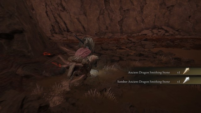 The rewards for killing Ancient Dragon Senessax in Elden Ring Shadow of the Erdtree.