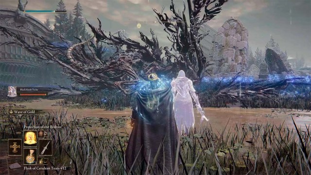 Summoning a Spirit Ash before battle in Elden Ring