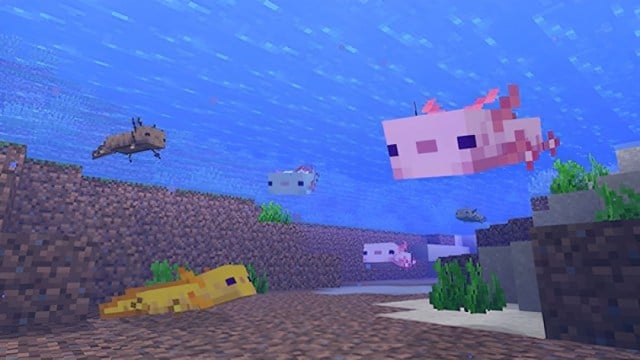 Axolotls can be found in different colors in Minecraft and you can breed them together to get more colors.