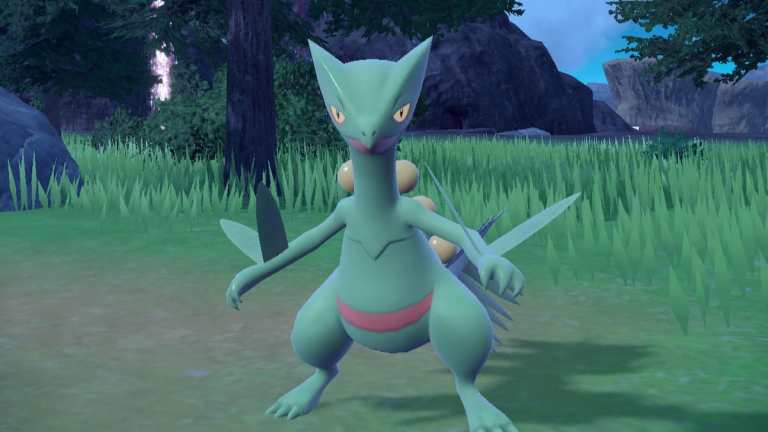 Sceptile staring at the camera in Pokémon Scarlet and Violet.