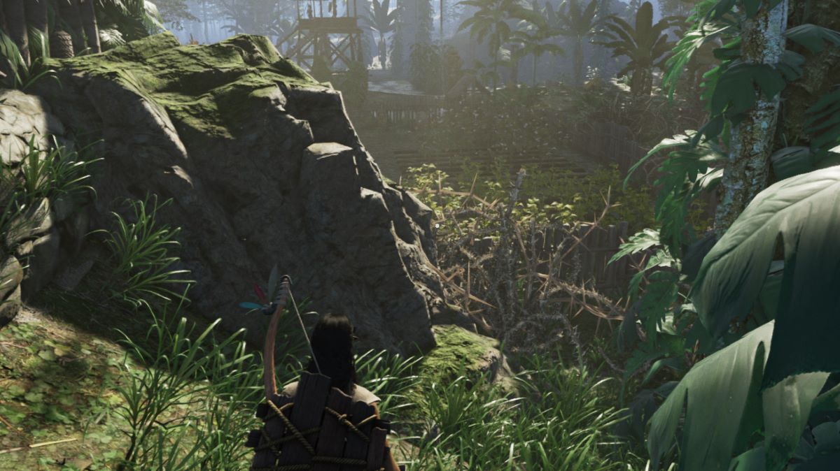 A screenshot of a Soulmask player looking into a Cotton field.