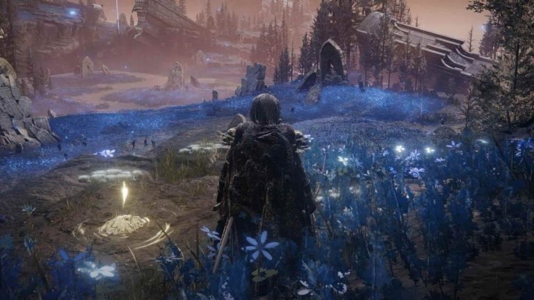 A character standing in Elden Ring with a blue field