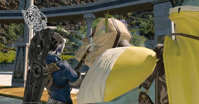 A vexed Final Fantasy XIV player character stares at a chocobo saddlebag.