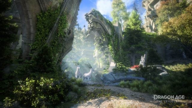 A lush green forest area in Dragon Age: The Veilguard.