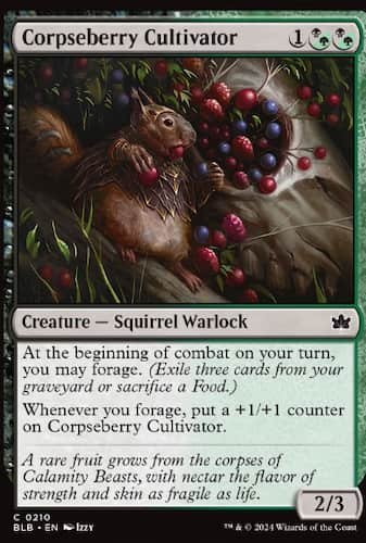 Squirrel eating berries in Bloomburrow MTG set