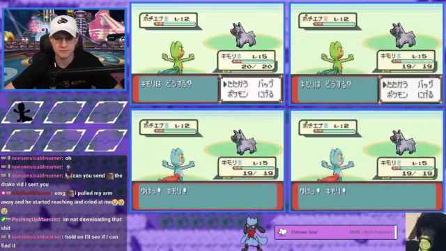 Two Shiny Treecko found during a stream.