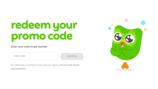 redeem code in duolingo