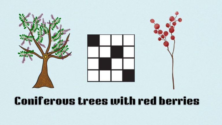 art for coniferous trees with red berries nyt mini crossword clue