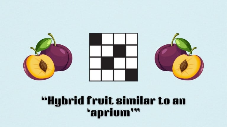 Two plums next to a crossword icon above the clue, 'Hybrid fruit similar to an "aprium"' for the NYT Mini Crossword clue Aug. 29