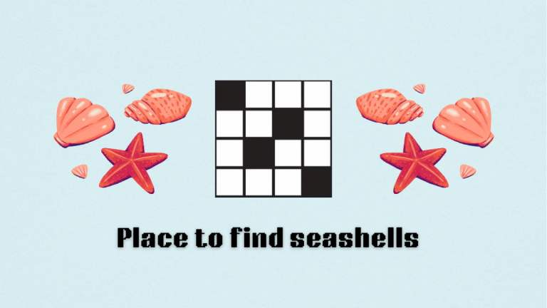 The place to find seashells clue for the NYT Mini Crossword by a puzzle.