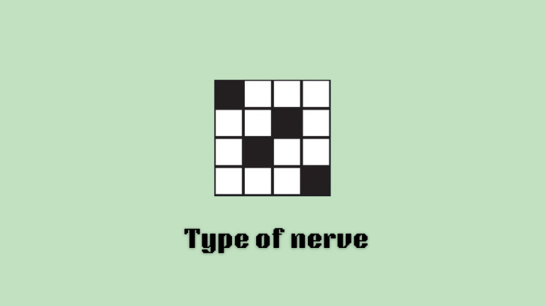 Type of nerve underneath a crossword for the LA Times Mini.