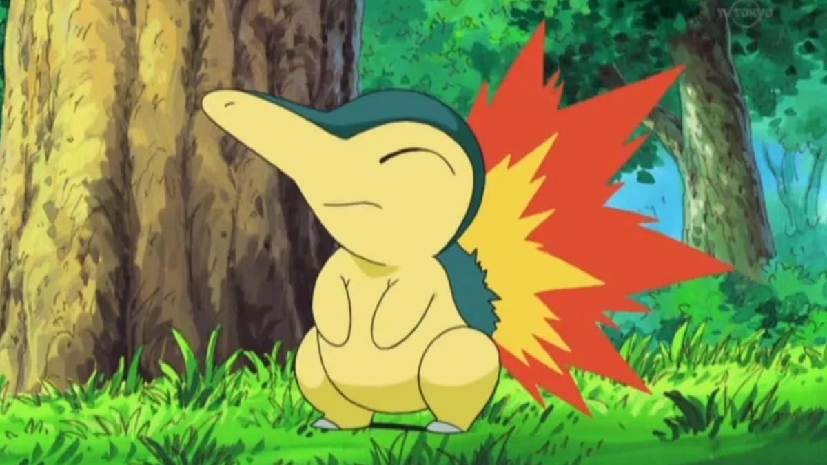 Cyndaquil sitting on the grass looking upwards