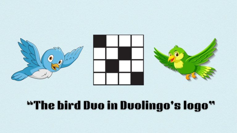 two birds flying above the clue, bird duo in duolingos logo, from the nyt mini crossword puzzle