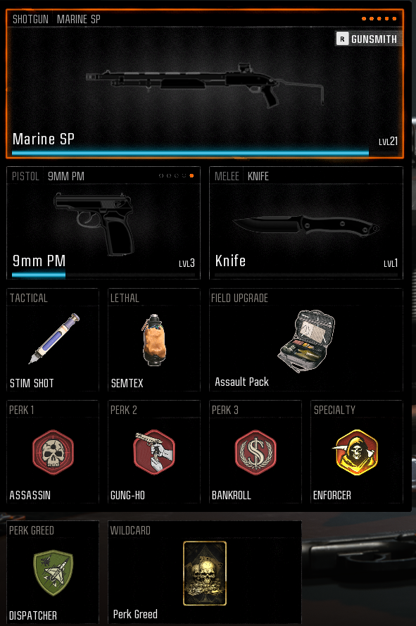 A screenshot of the Marine SP and its best loadout in Black Ops 6.