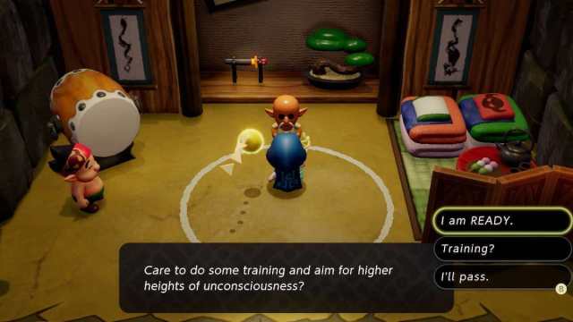 Talking to start a Slumber Dojo challenge in Zelda: Echoes of Wisdom.