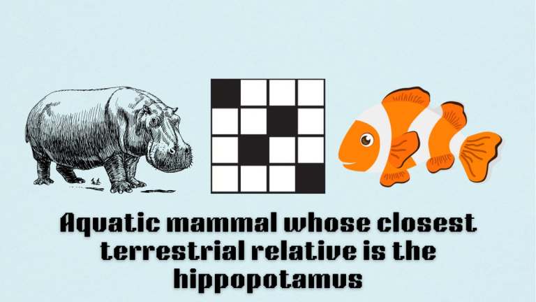 Picture showing the qquatic mammal whose closest terrestrial relative is the hippopotamus clue cover in NYT Mini Crossword.