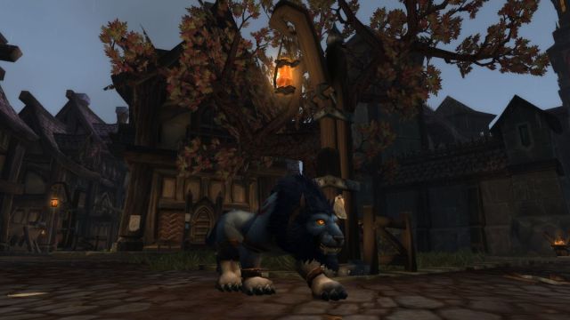 Worgen Druid in World of Warcraft.