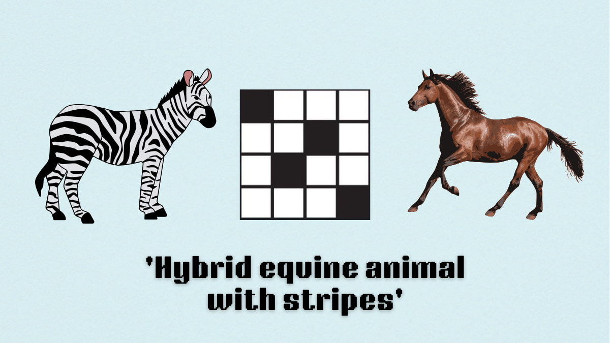 Picture showing the hybrid equine animal with stripes clue cover in NYT Mini Crossword.