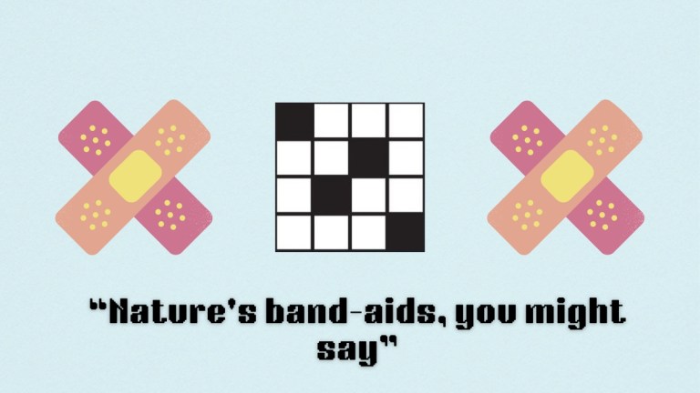 Two lots of bandaids above the clue nature's bandaid from the NYT Mini Crossword puzzle