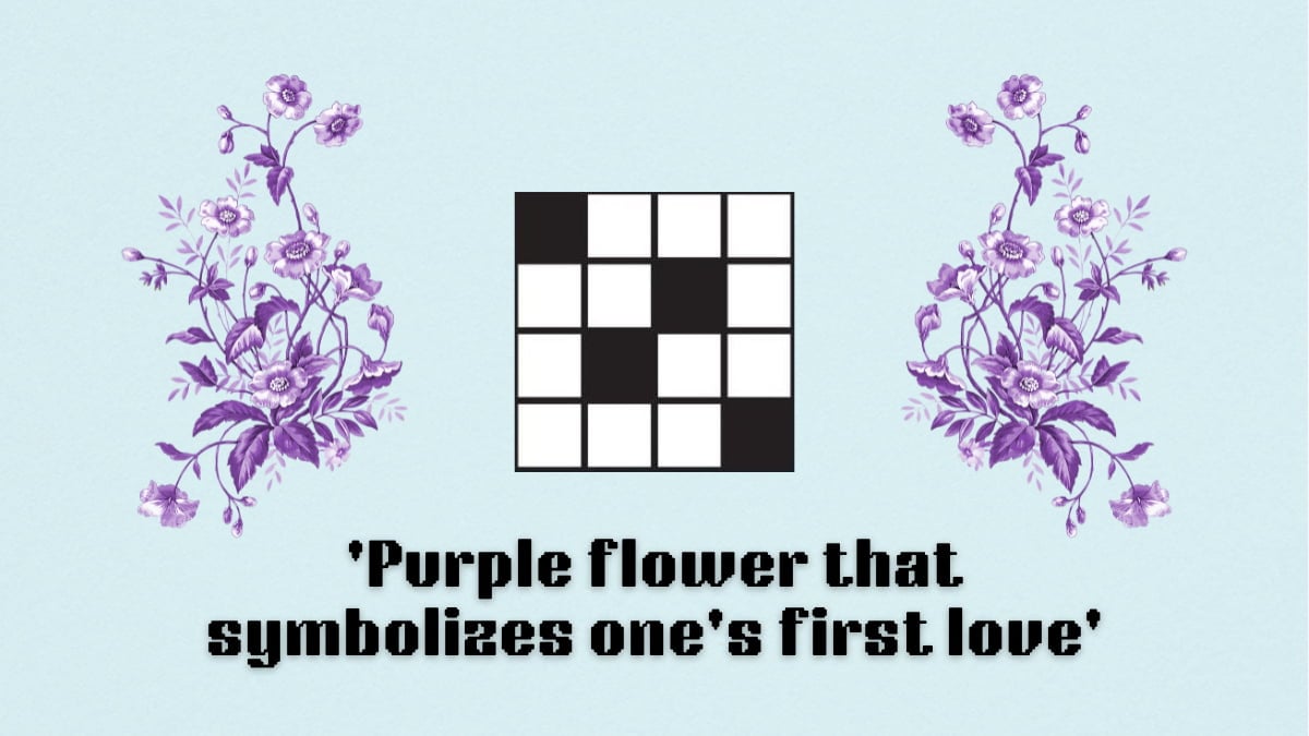 Picture showing the purple flower that symbolizes one's first love clue cover in NYT Mini Crossword.