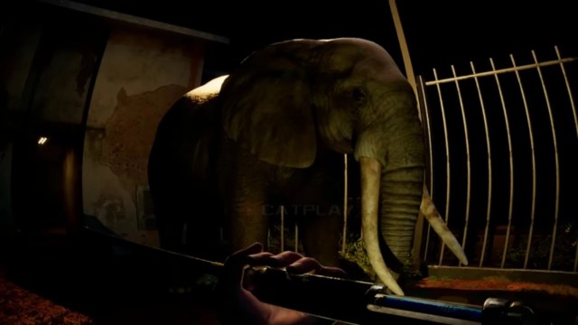 A non-mutant elephant