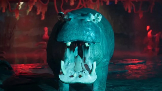 A non-mutant hippopotamus with its mouth open