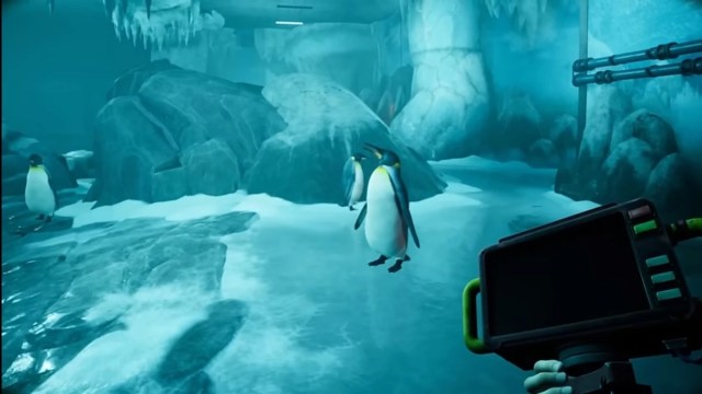 Non-mutant penguins standing in their ice enclosure