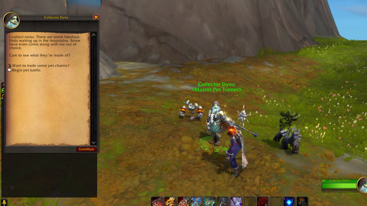 Player talking to NPC Collector Dyna, a Master Pet Trainer in WoW The War Within.