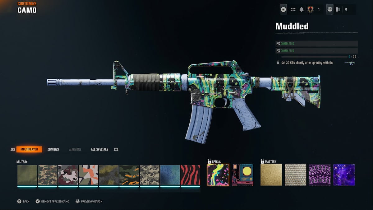 Black Ops 6 Muddled XM4 camo