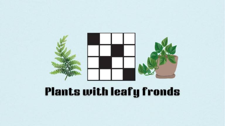 The Plants with leafy fronds clue on the NYT Mini Crossword.