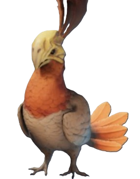 A dodo bird-like creature with orange and beige feathers from Enshrouded. This shows readers what the Flightless Redtail looks like.