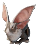 A hophare, a bunny-like creature with 4 massive ears, in Enshrouded