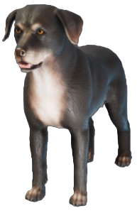 A screenshot of a dark brown dog with white on its chest and muzzle. This is Ikko from Enshrouded.