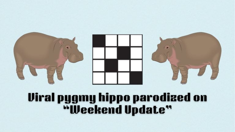 Picture showing the Viral pygmy hippo parodized on Weekend Update clue cover in NYT Mini Crossword.